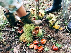 3b711fd5633fa6e2ed322d9328a3089b