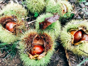 90aa6916404757c1cf07b2b0e596c60e